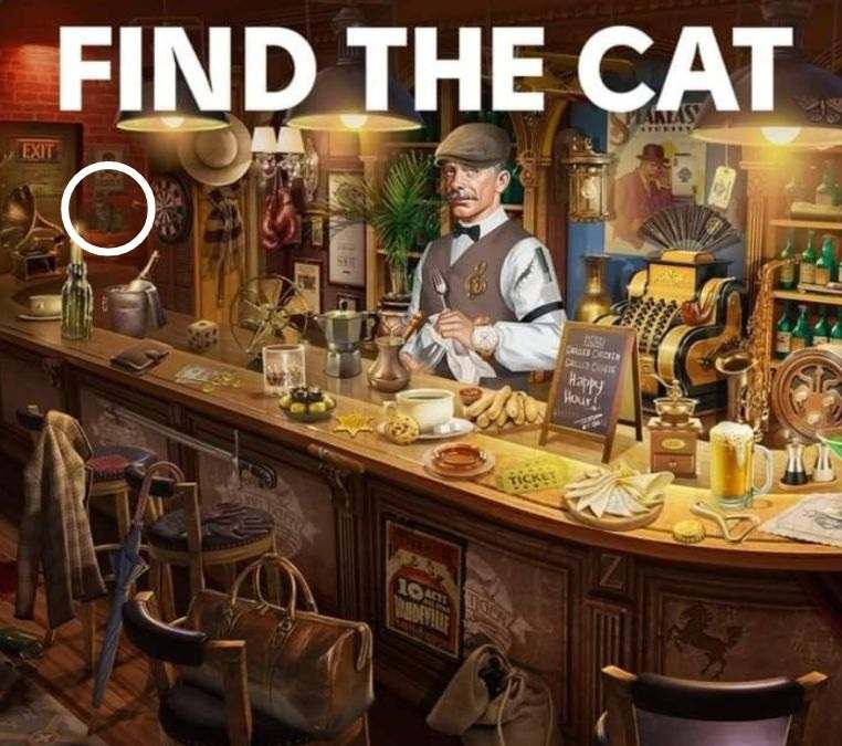 find hidden cat puzzle find-hidden-cat-picture-puzzle-answer