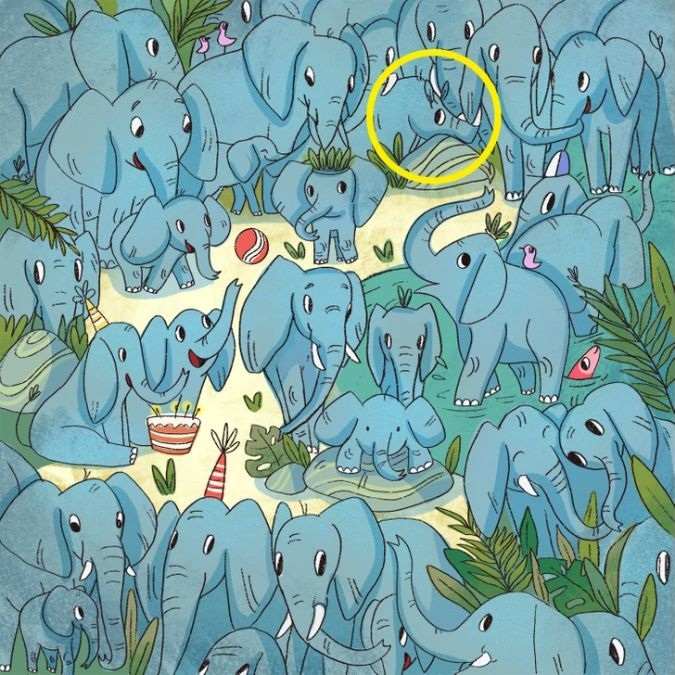 find-hidden-rhino-optical-illusion-answer