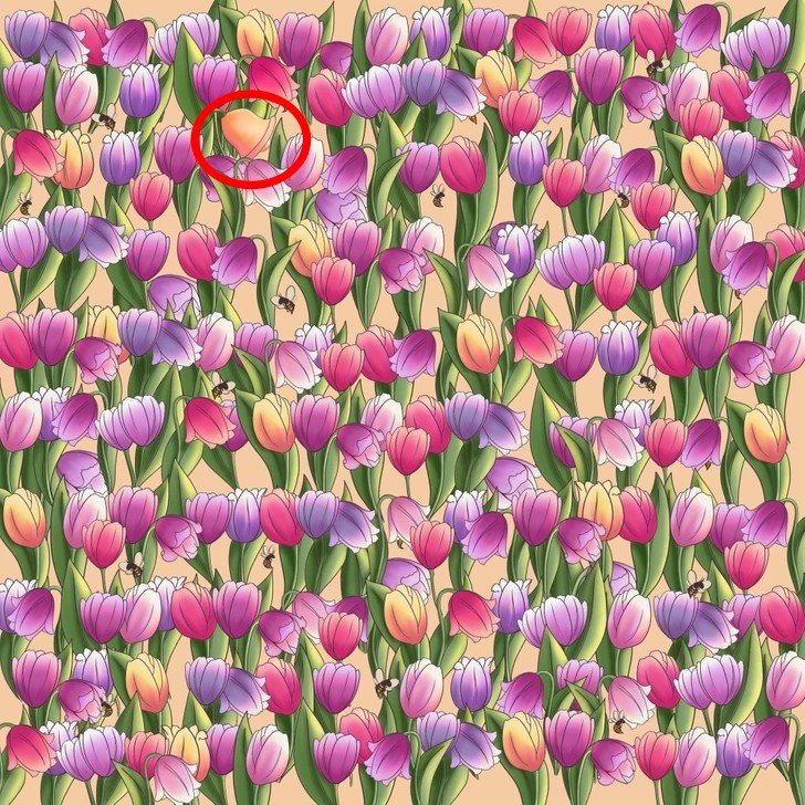 find hidden bell solved