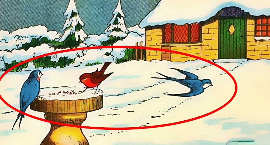 Find the mistake solution