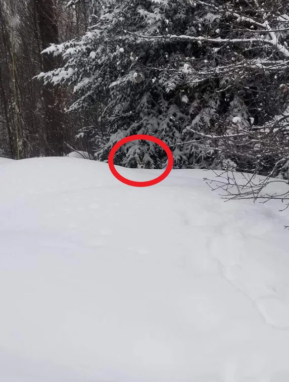 first-glance-photo-appears-show-853494210