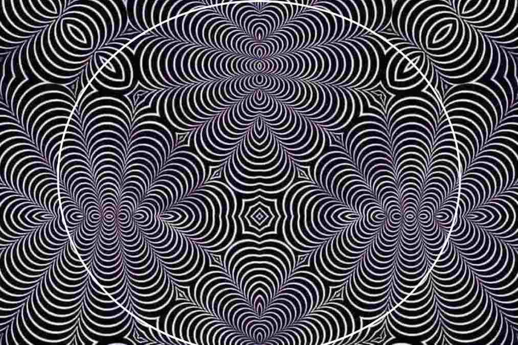 hidden-cat-viral-optical-illusion-answer