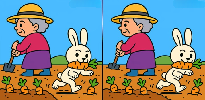 Screenshot 2025-08-02 121351_cleanup