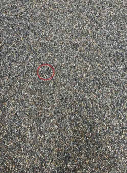 spot-the-pencil-lead-on-cthe-carpet-optical-illusion-brain-teasers-answer