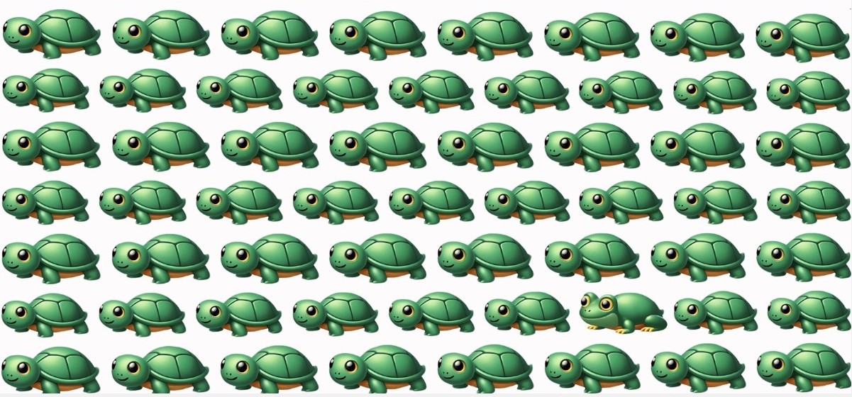 find the odd one out