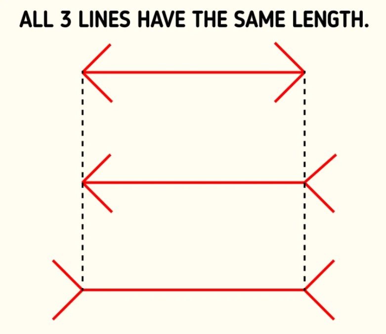 which-line-is-longer-optical-illusion-brain-teaser-answer