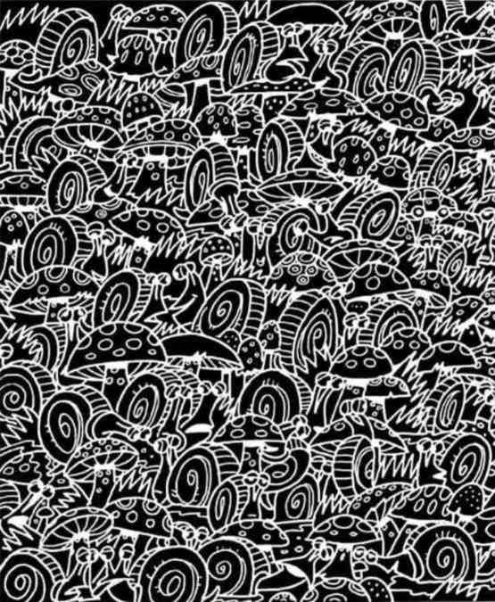 hidden images optical illusions with answers hidden-images-optical-illusions