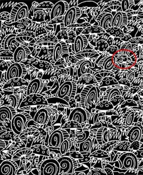 hidden-images-optical-illusions-answer