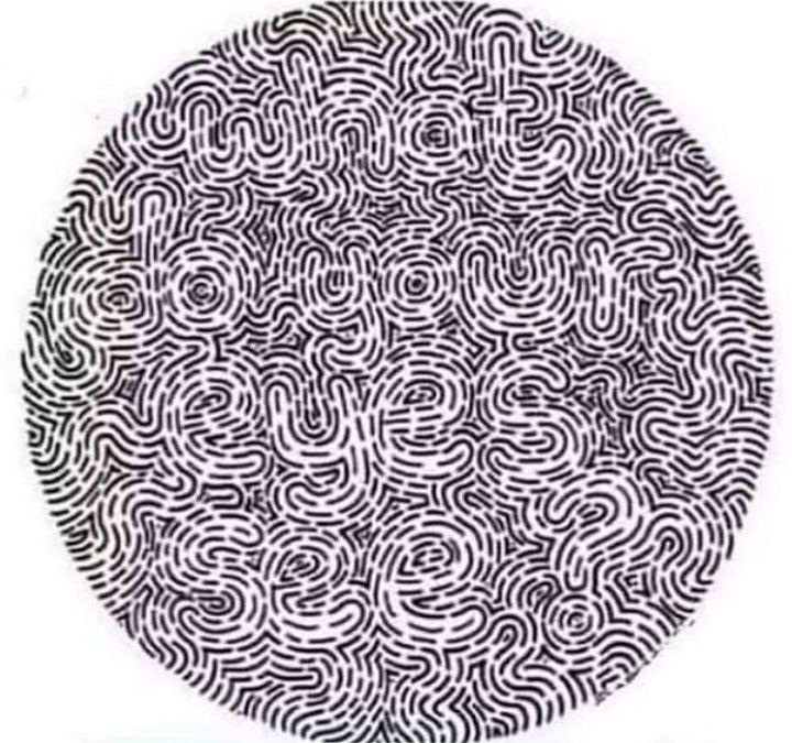 hidden words puzzles iq test with answers what-do-your-eyes-see-puzzle-with-hidden-images