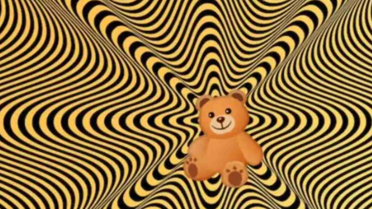 find-hidden-images-optical-illusions-answers