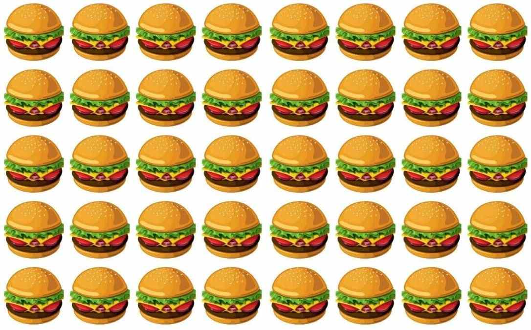 find the odd one out burger puzzle spot-the-odd-burger-puzzle