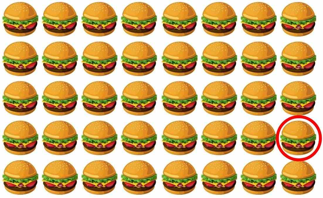 spot-the-odd-burger-puzzle-answer