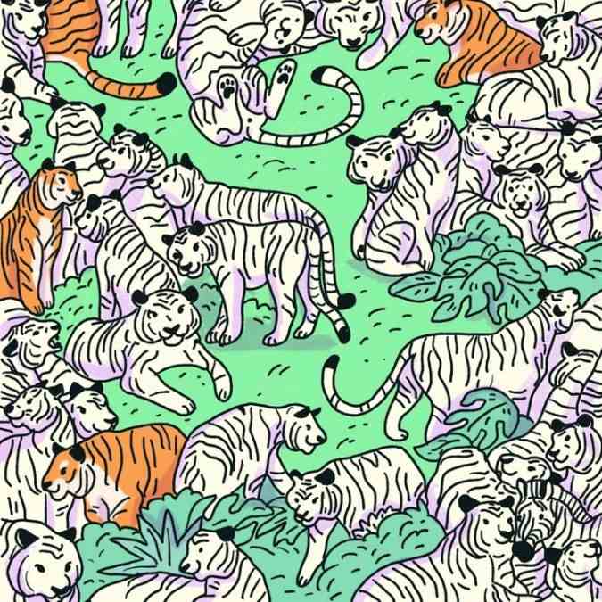 spot-the-zebra-puzzle