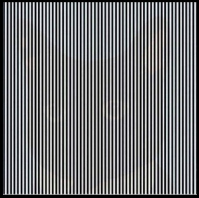 find-hidden-cat-optical-illusion