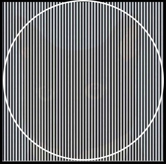 find-hidden-cat-optical-illusion-answer