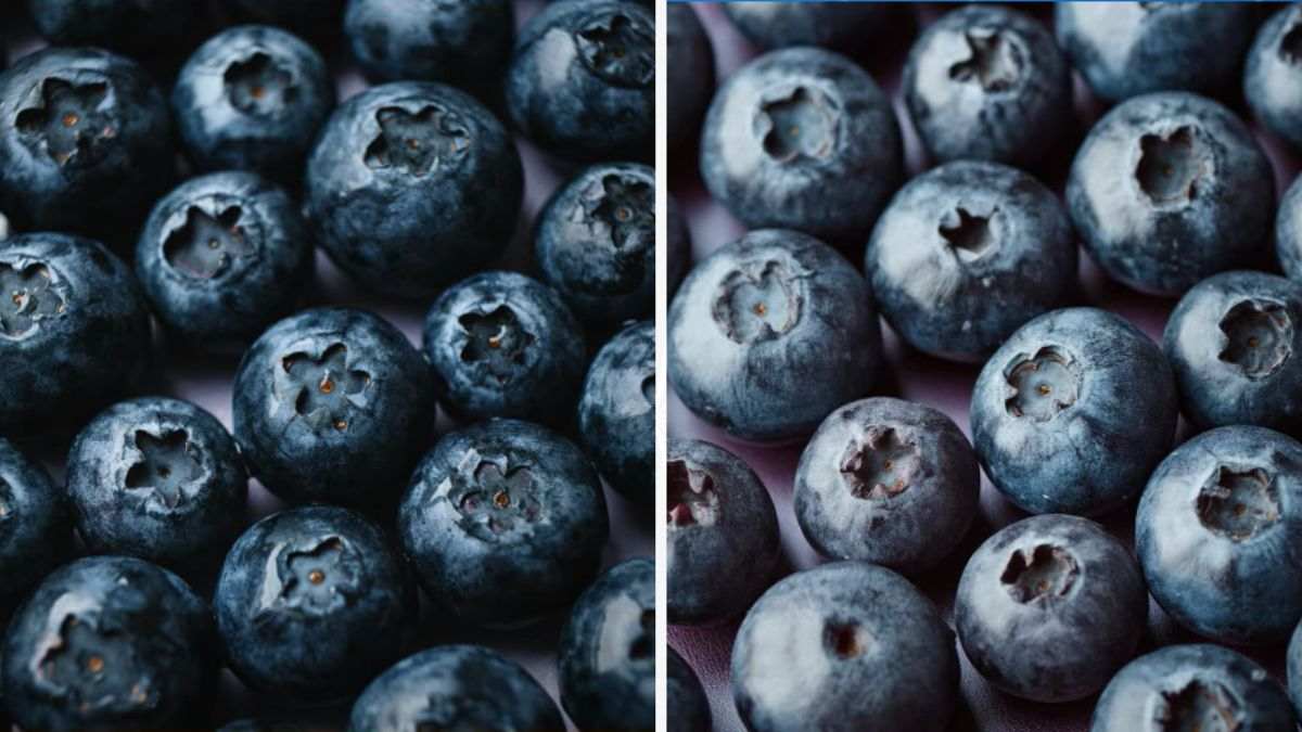 ai-or-real-game-spot-the-fake