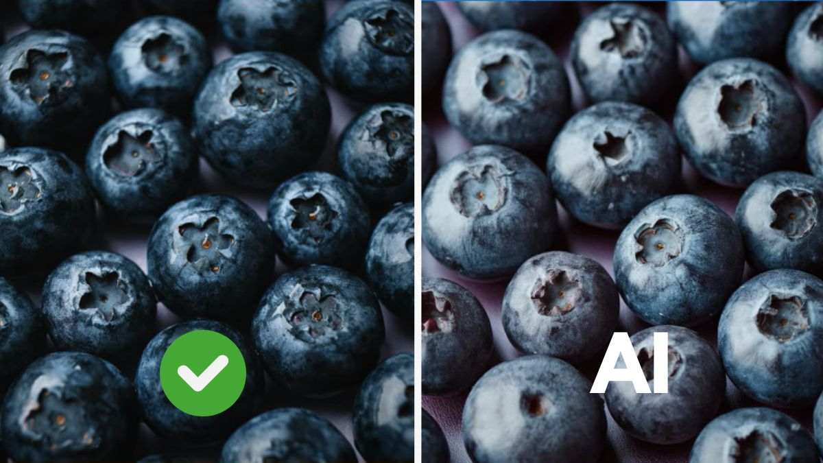 ai-or-real-game-spot-the-fake-answer