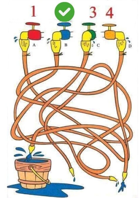 which-tap-is-filling-the-bucket-puzzle-answer