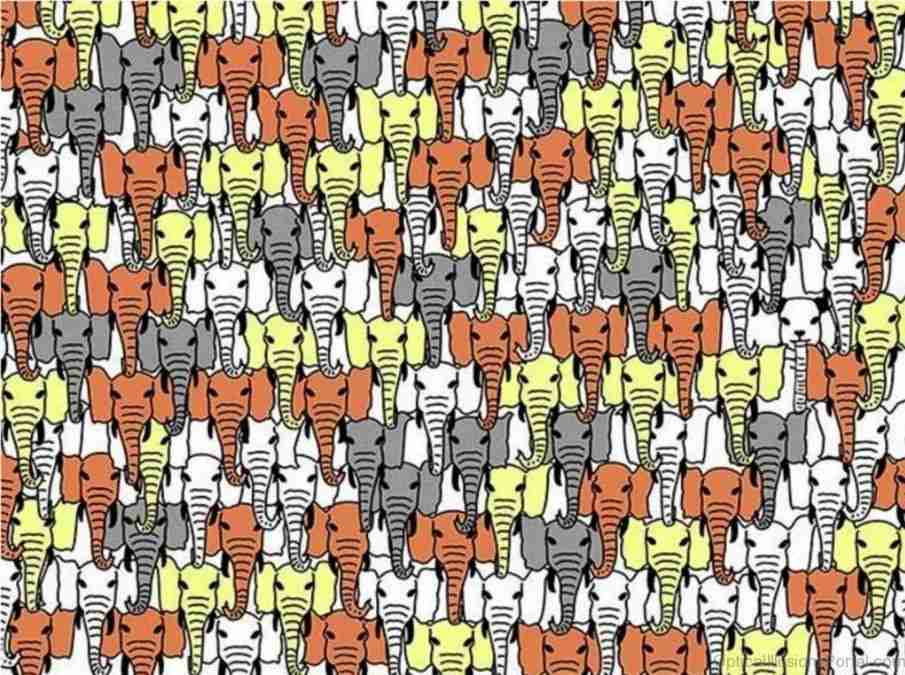 find-hidden-animal-puzzles-iq-test