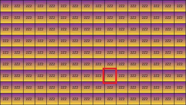 222_1755005932519_1755005954611