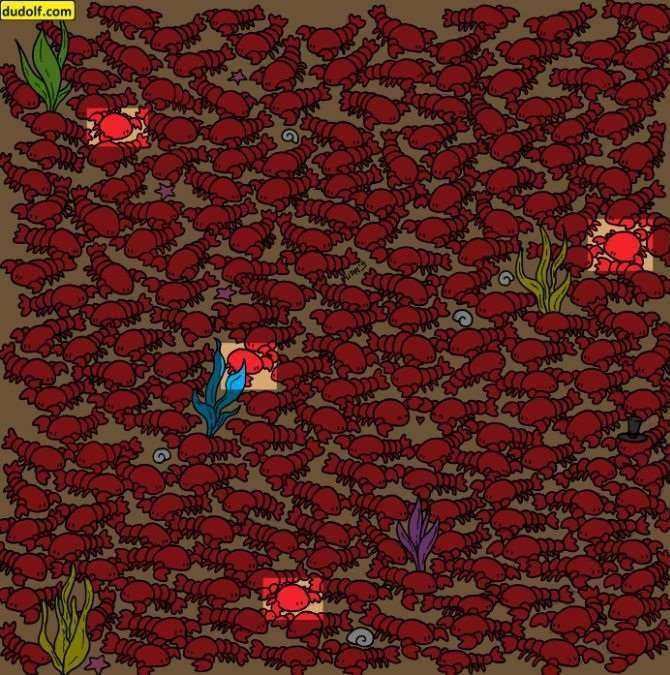 find-hidden-crabs-picture-puzzles-answer