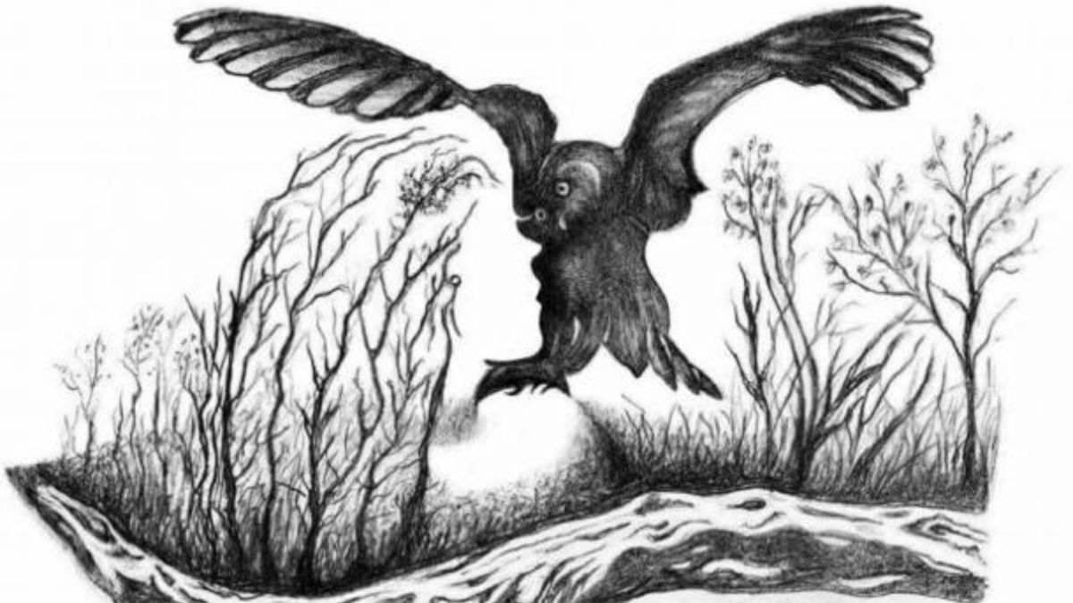 find-beautiful-woman-face-optical-illusion