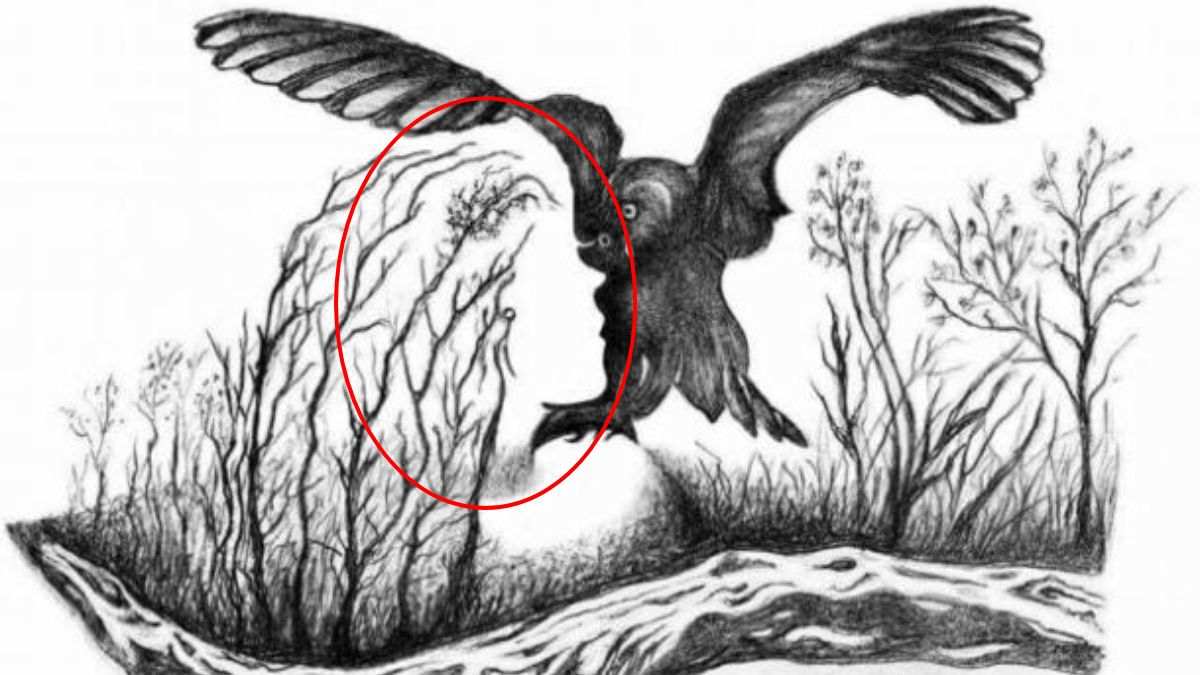 find-beautiful-woman-face-optical-illusion-answer