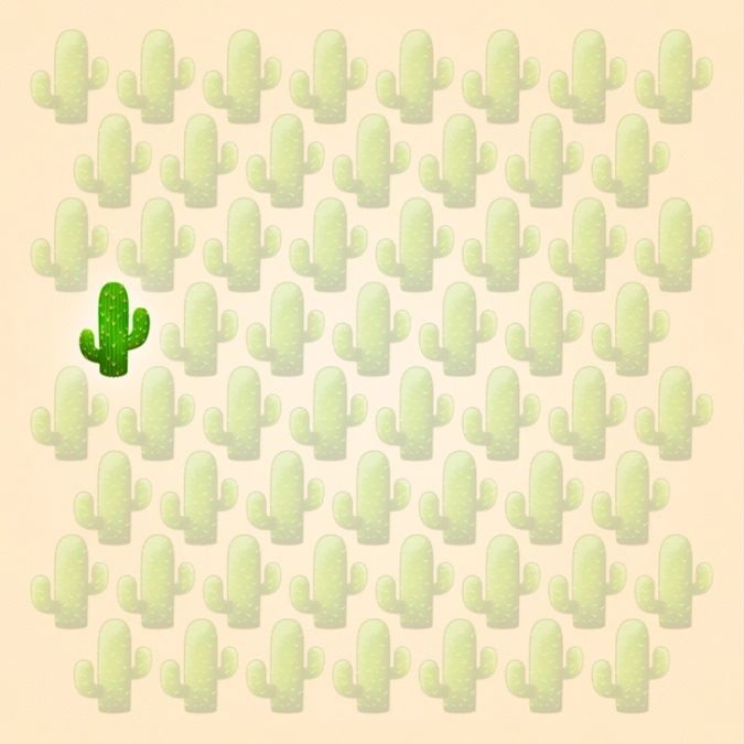 find-different-cactus-picture-puzzle-answer
