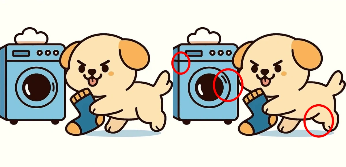 spot differences solved