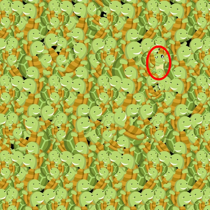 Find frog among turtles solved