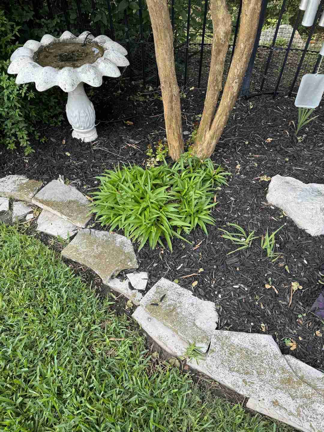 find-the-dangernoodle-ques