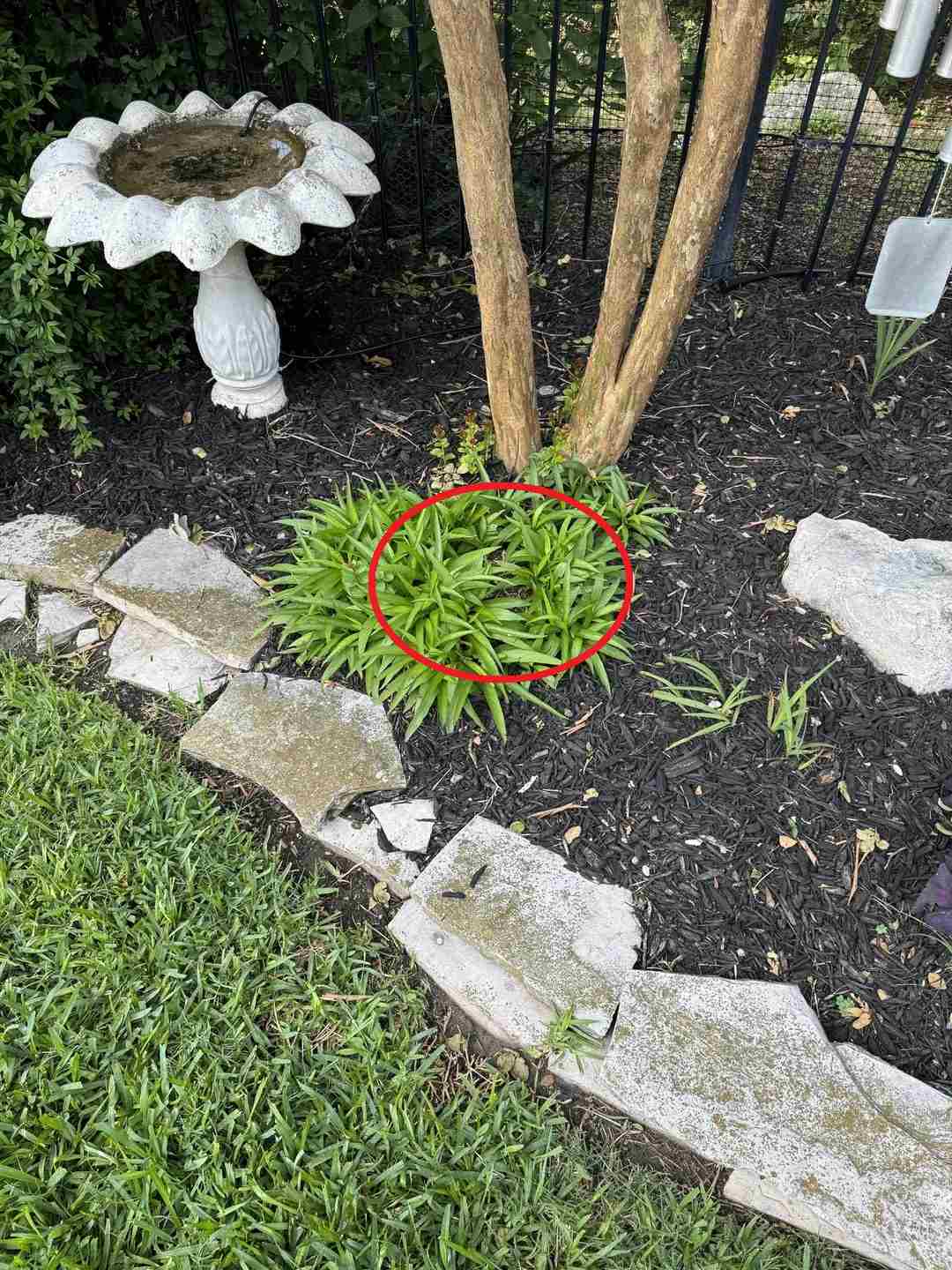 find-the-dangernoodle-sol