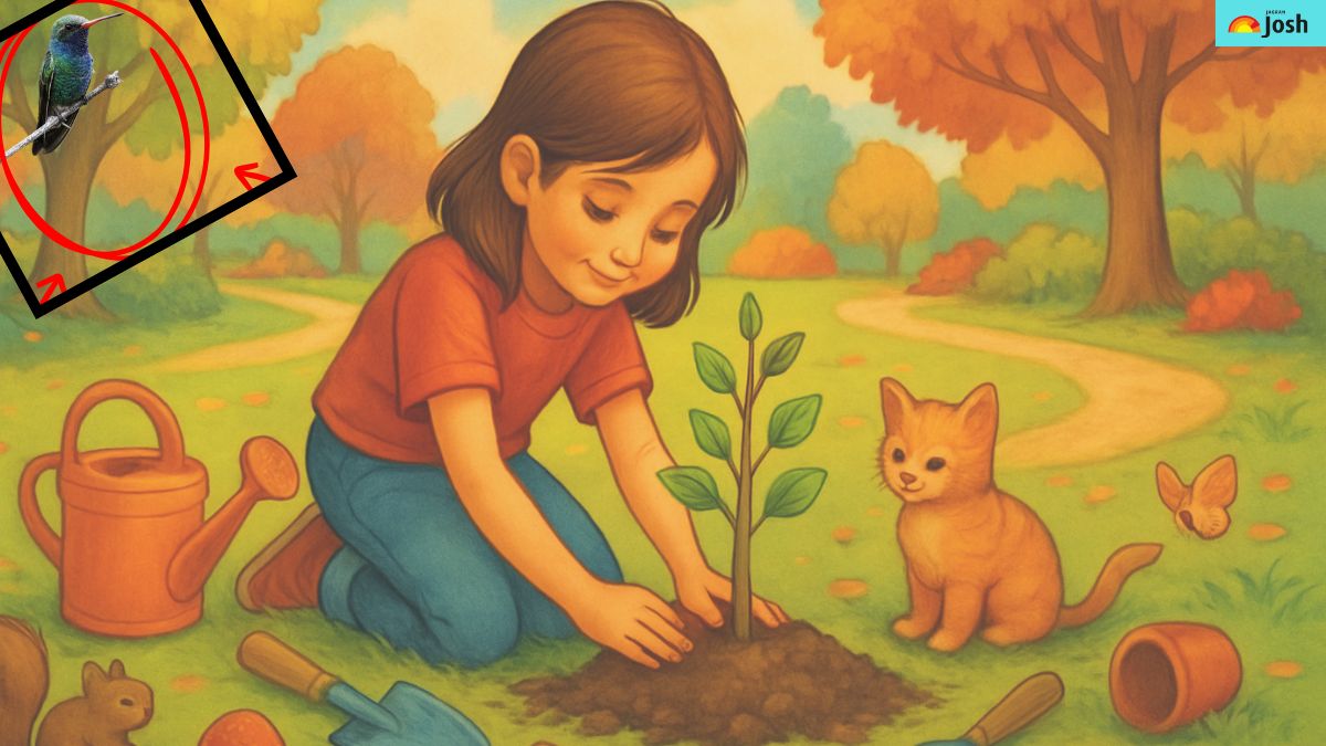 find the sparrow-sol