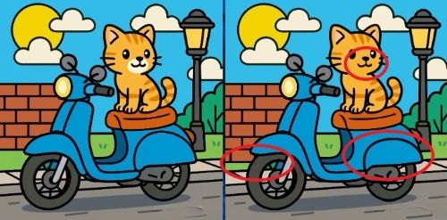 Screenshot 2025-08-25 080639_cleanup-one