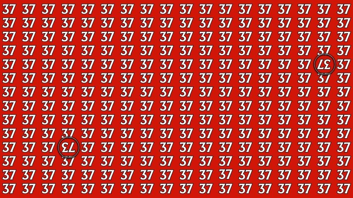 optical-illusion-within-6-seconds-spot-the-inverted-37-and-73-among-37s-68aaa529761e373464222-1200