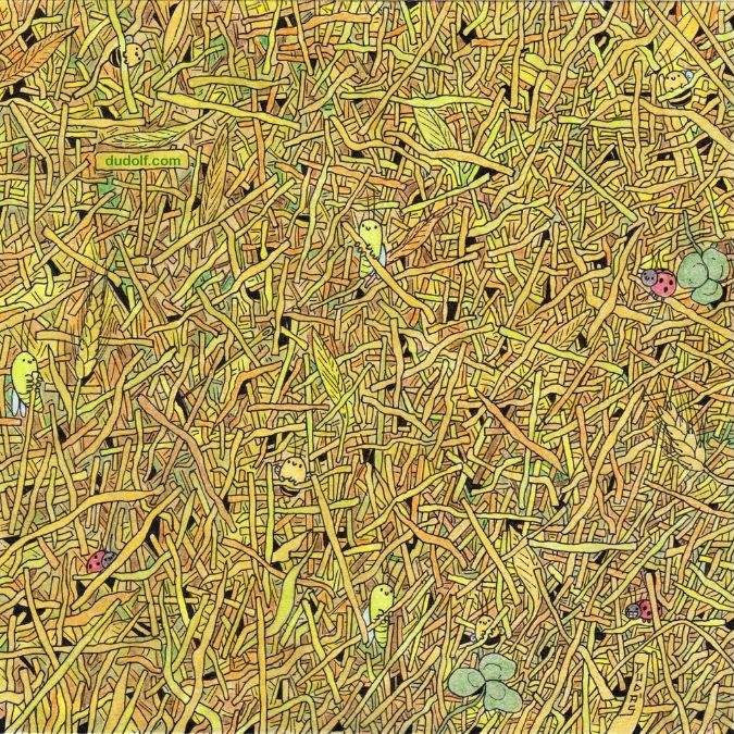 find-hidden-needle-picture-puzzle