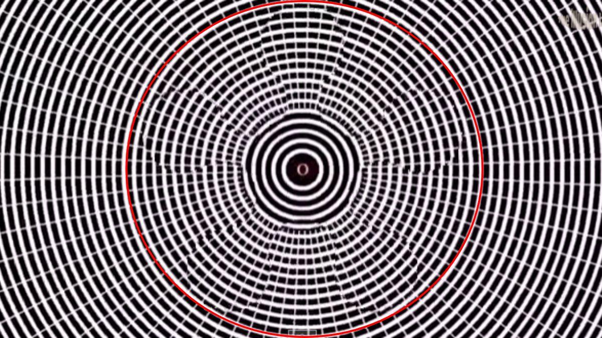 find-the-hidden-object-optical-illusion-answer