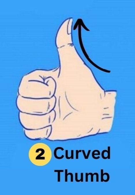 curved-thumb-shape-personality-traits