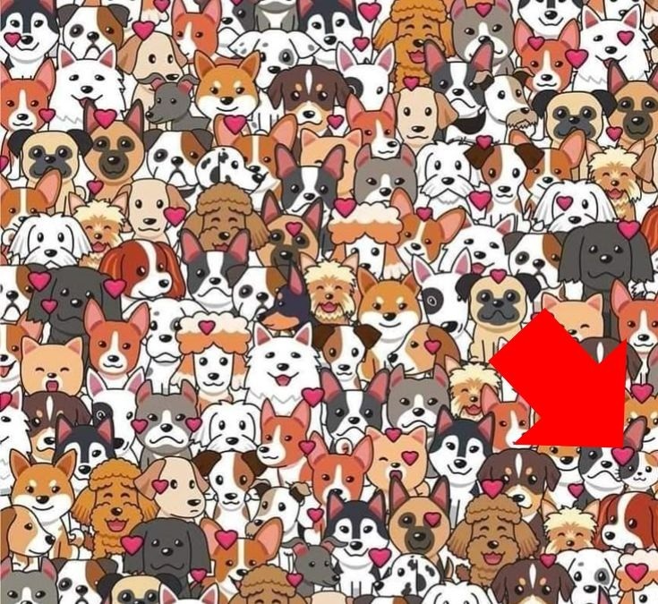 find-hidden-cat-among-dogs-picture-puzzle-answer