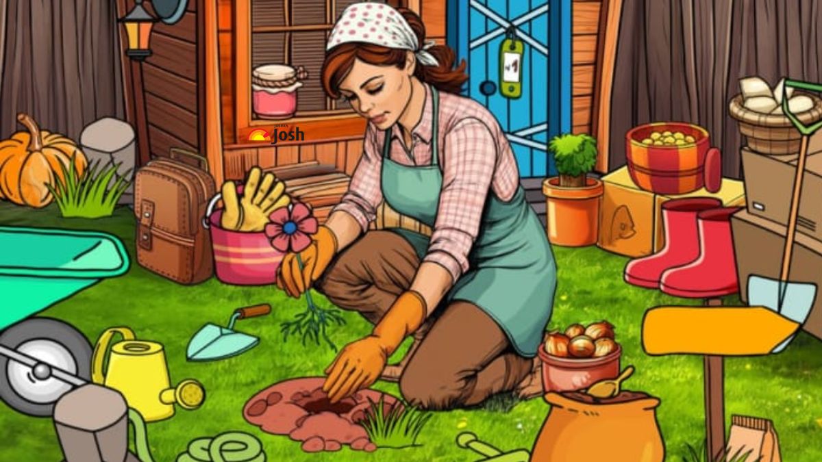 find the hidden squirrel