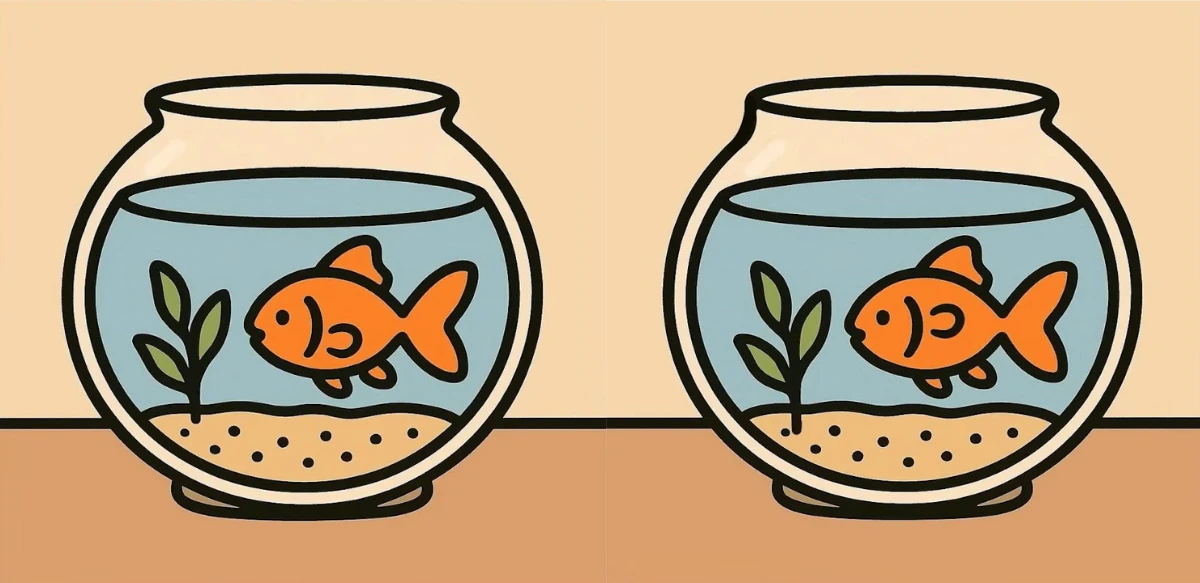 spot differences in 17 seconds