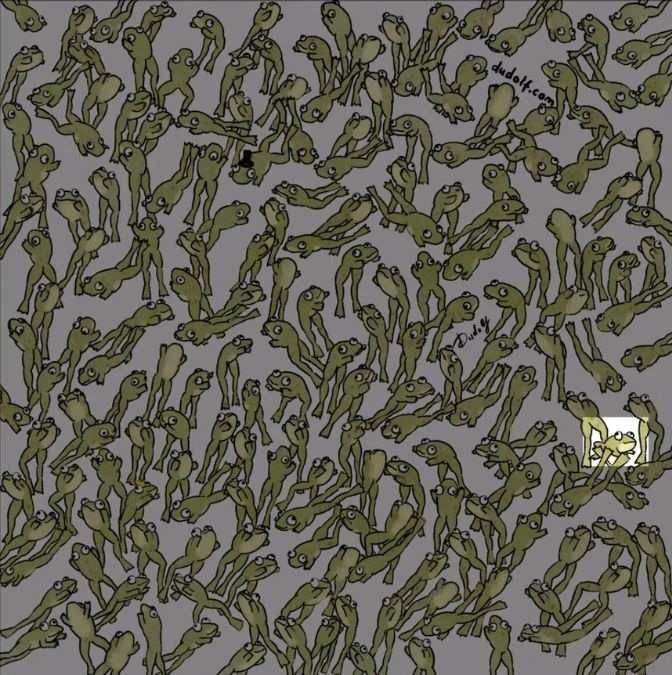 which-frog-is-not-leaping-picture-puzzle-answer