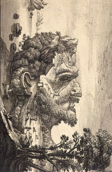 find-hidden-face-optical-illusion-answer