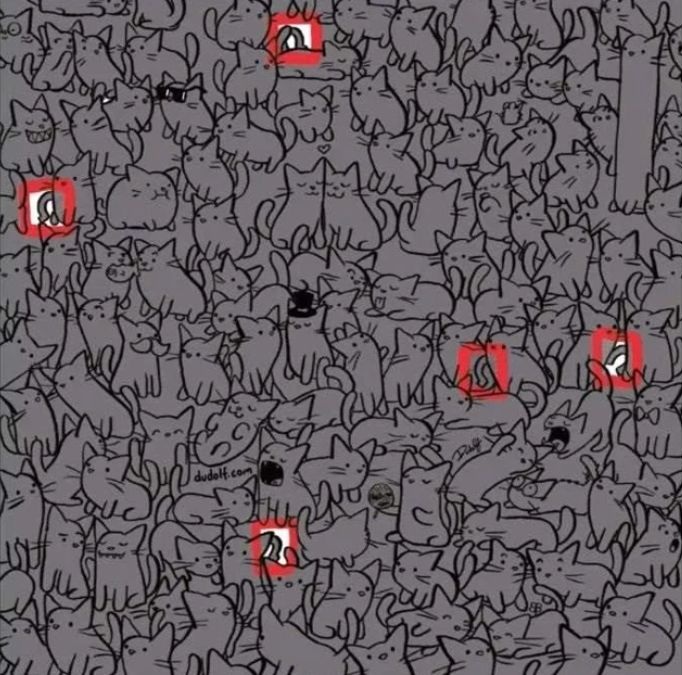 find-hidden-horseshoes-picture-puzzle-answer