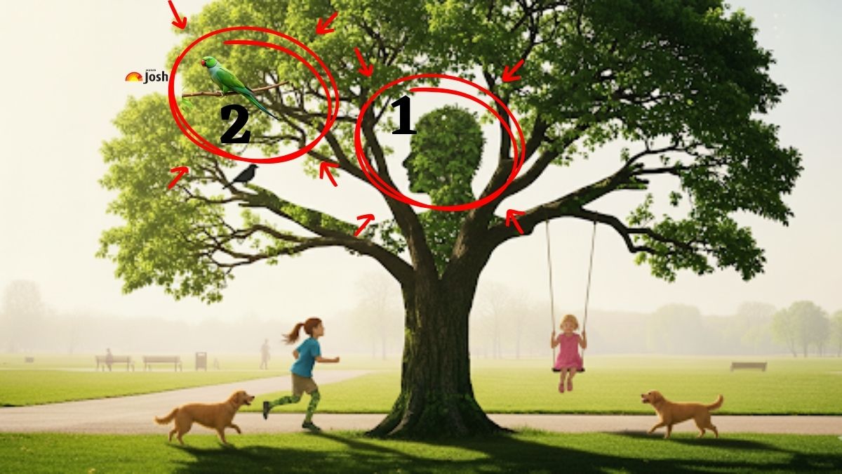 find the objects-sol