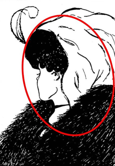 find-old-lady-optical-illusion-answer