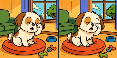 Screenshot 2025-09-04 110046_cleanup