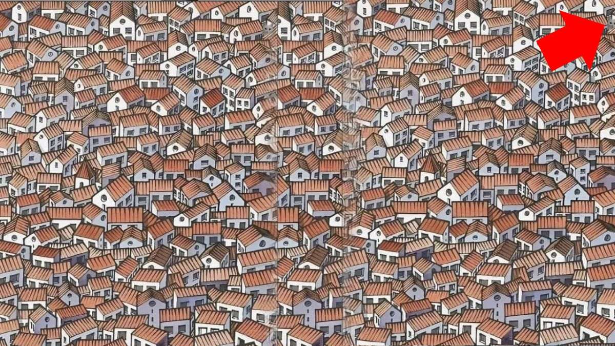 spot-hidden-cat-optical-illusion-answer