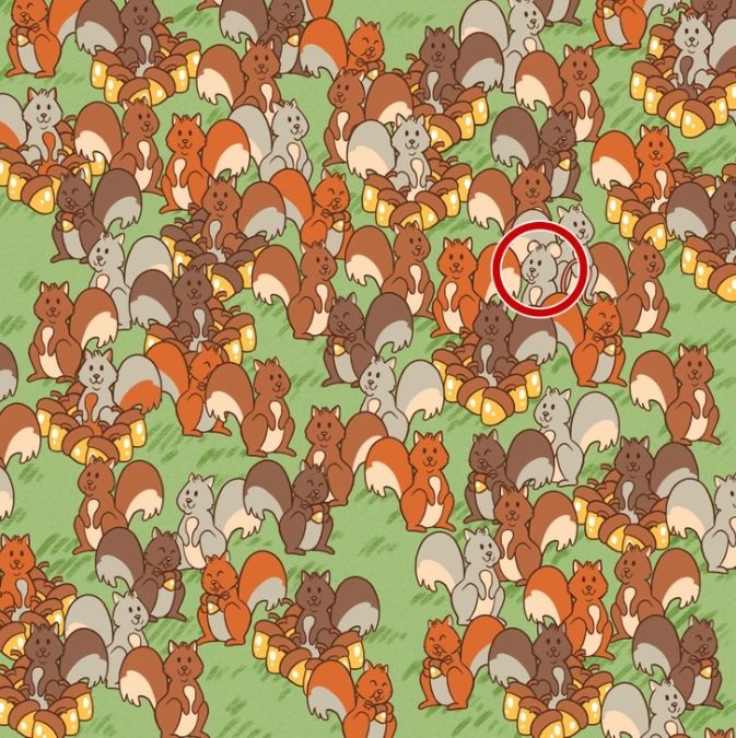 spot-hidden-mouse-picture-puzzle-answer