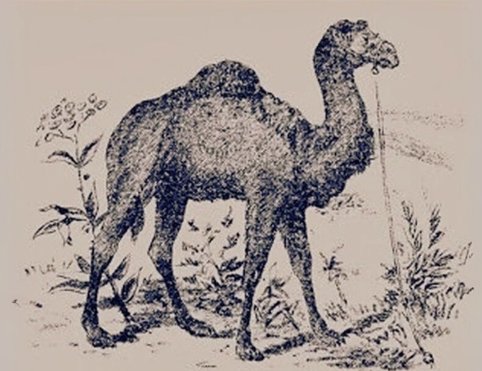 Find two hidden faces